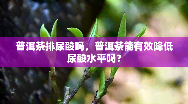 普洱茶排尿酸吗，普洱茶能有效降低尿酸水平吗？