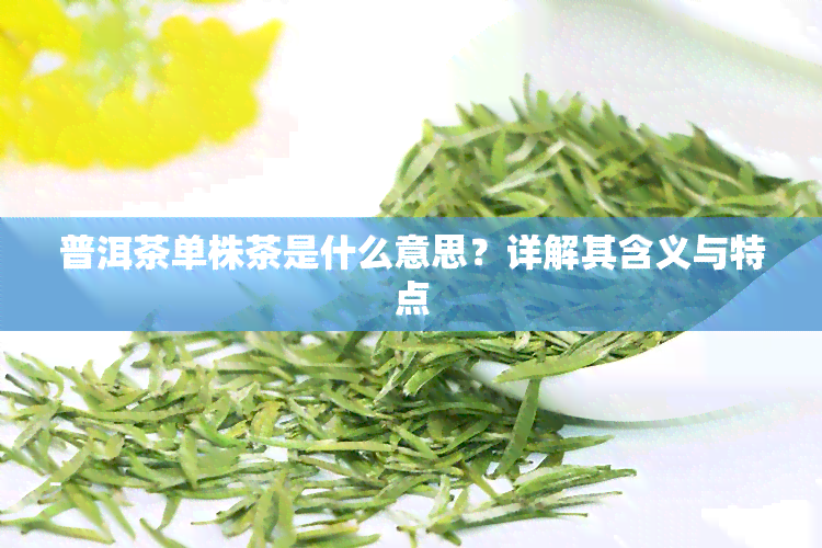 普洱茶单株茶是什么意思？详解其含义与特点