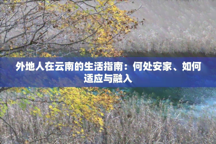 外地人在云南的生活指南：何处安家、如何适应与融入