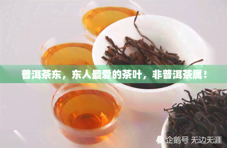 普洱茶东，东人更爱的茶叶，非普洱茶属！