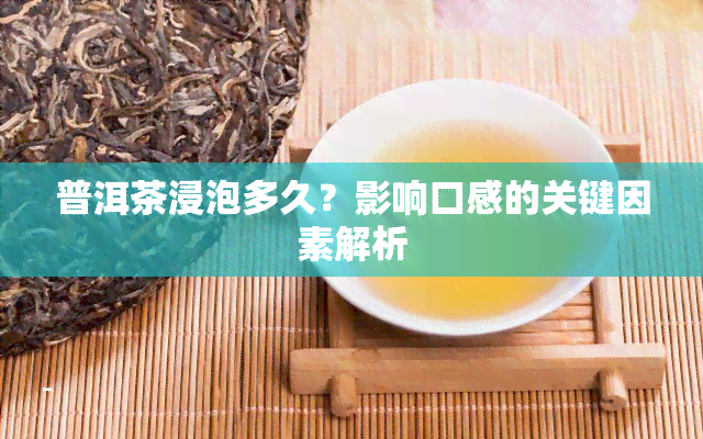 普洱茶浸泡多久？影响口感的关键因素解析