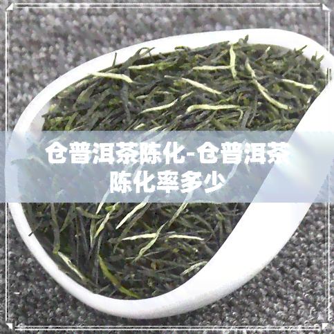 仓普洱茶陈化-仓普洱茶陈化率多少