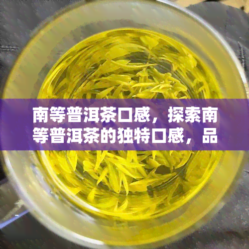 南等普洱茶口感，探索南等普洱茶的独特口感，品味云南茶文化的魅力