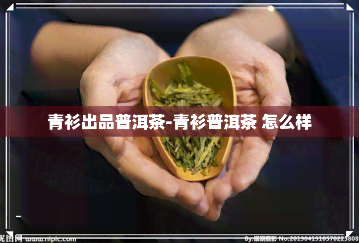 青衫出品普洱茶-青衫普洱茶 怎么样