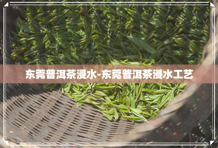 东莞普洱茶浸水-东莞普洱茶浸水工艺