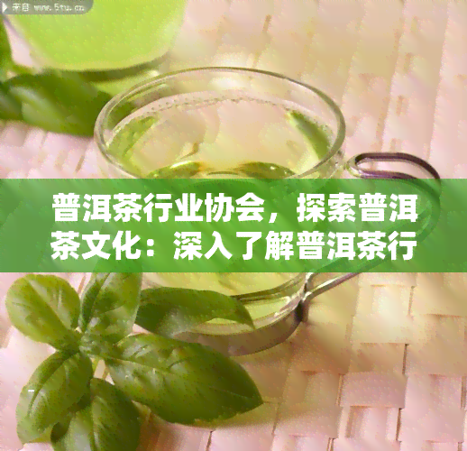 普洱茶行业协会，探索普洱茶文化：深入了解普洱茶行业协会的作用与影响