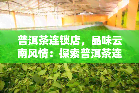 普洱茶连锁店，品味云南风情：探索普洱茶连锁店的世界