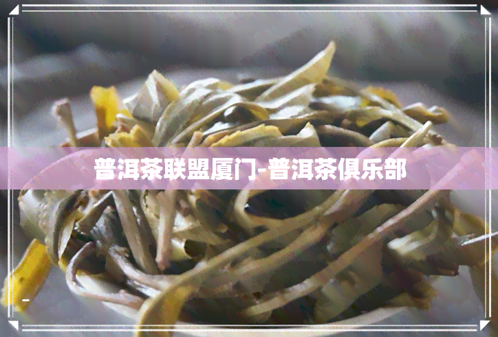 普洱茶联盟厦门-普洱茶俱乐部