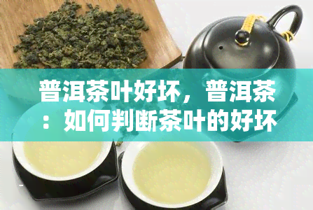 普洱茶叶好坏，普洱茶：如何判断茶叶的好坏？