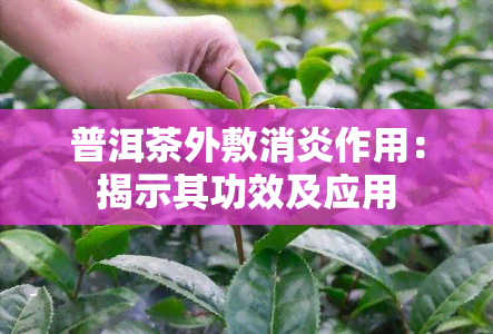 普洱茶外敷消炎作用：揭示其功效及应用