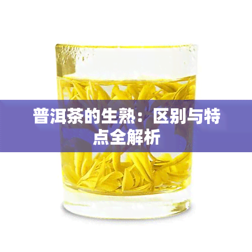 普洱茶的生熟：区别与特点全解析