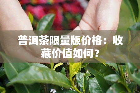 普洱茶限量版价格：收藏价值如何？