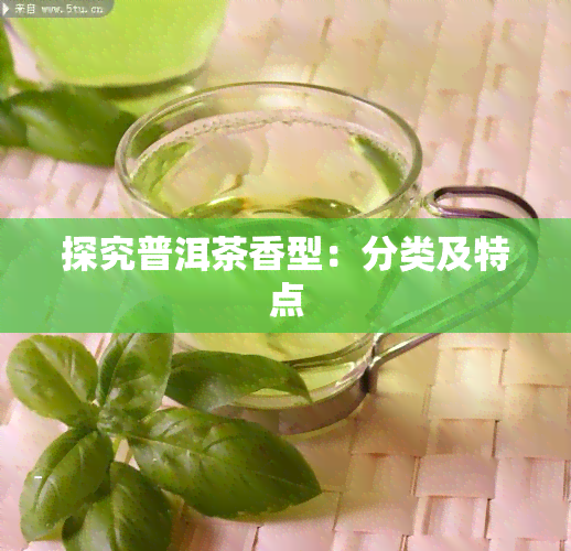 探究普洱茶香型：分类及特点