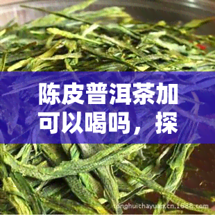 陈皮普洱茶加可以喝吗，探讨陈皮普洱茶加的饮用可能性