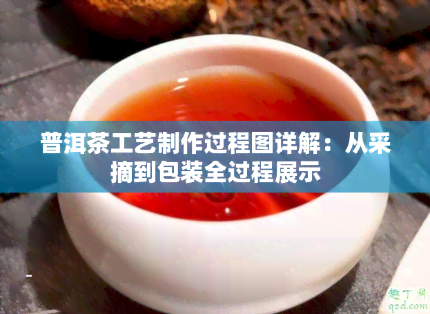 普洱茶工艺制作过程图详解：从采摘到包装全过程展示