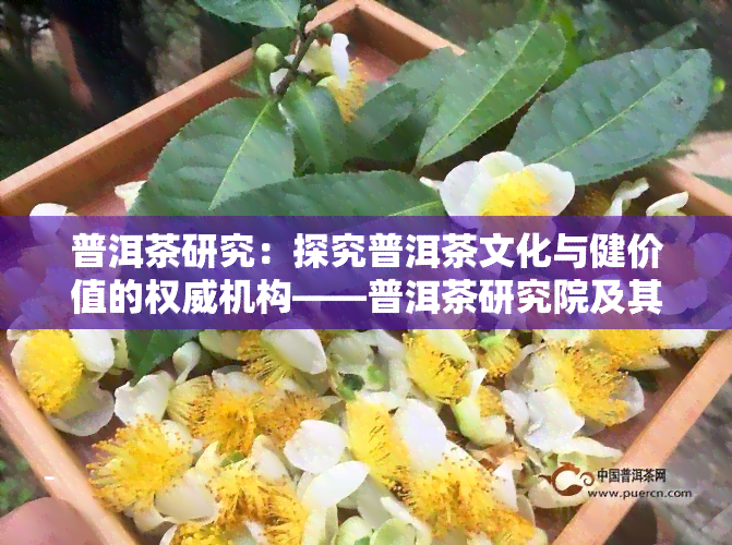 普洱茶研究：探究普洱茶文化与健价值的权威机构——普洱茶研究院及其院长介绍