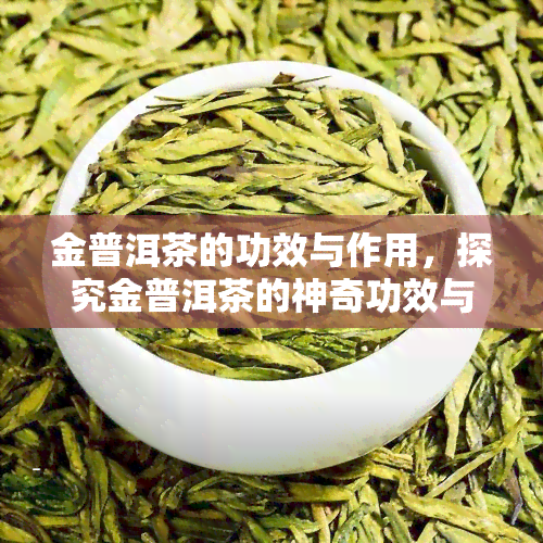 金普洱茶的功效与作用，探究金普洱茶的神奇功效与作用，你不可不知的秘密！