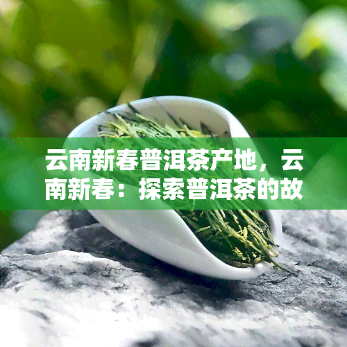 云南新春普洱茶产地，云南新春：探索普洱茶的故乡——普洱茶产地