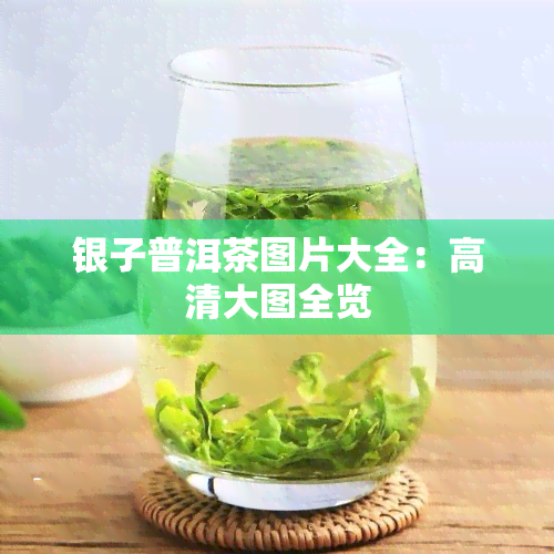 银子普洱茶图片大全：高清大图全览