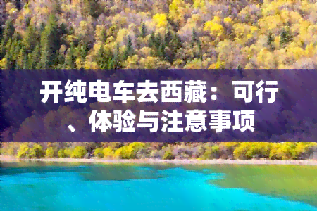 开纯电车去     ：可行、体验与注意事项