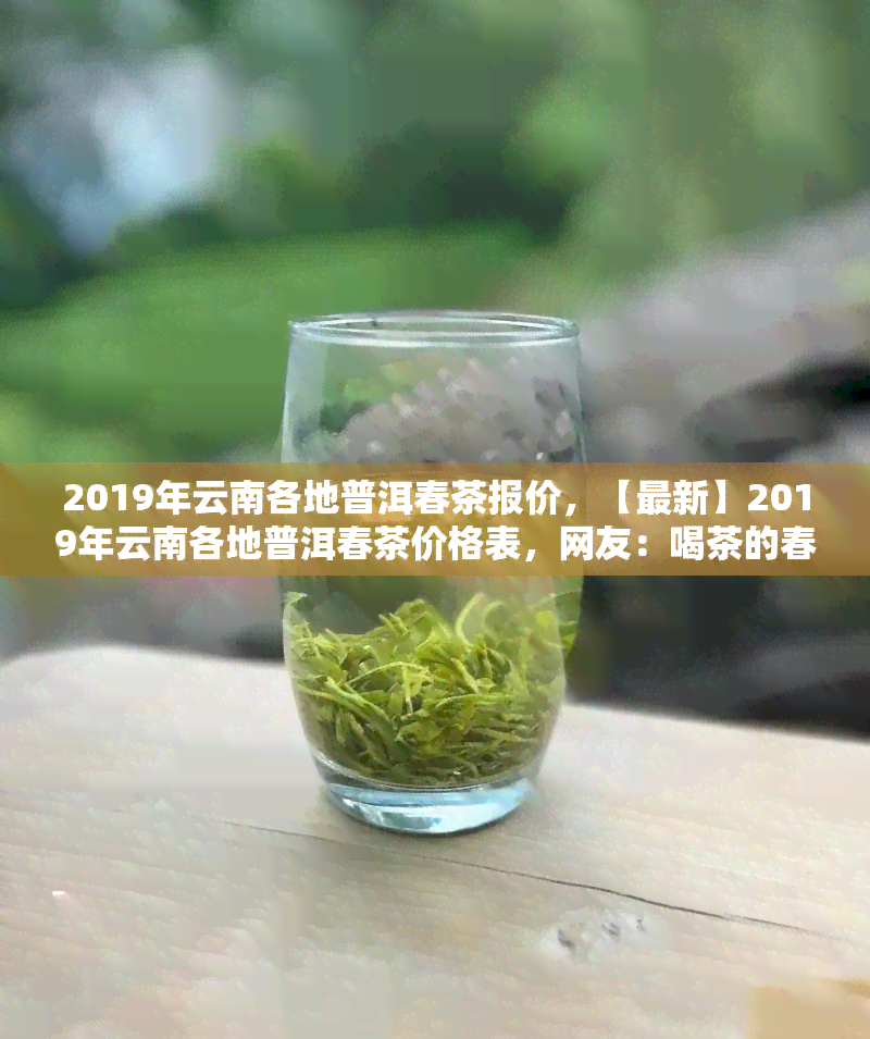 2019年云南各地普洱春茶报价，【最新】2019年云南各地普洱春茶价格表，网友：喝茶的春天要来了！