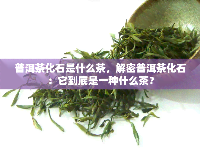 普洱茶化石是什么茶，解密普洱茶化石：它到底是一种什么茶？