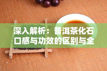 深入解析：普洱茶化石口感与功效的区别与全貌