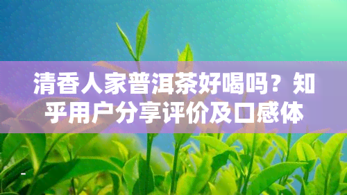 清香人家普洱茶好喝吗？知乎用户分享评价及口感体验