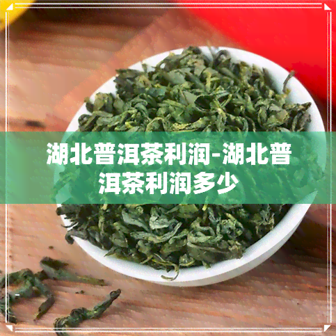 湖北普洱茶利润-湖北普洱茶利润多少