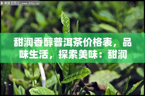 甜润香醇普洱茶价格表，品味生活，探索美味：甜润香醇普洱茶价格表一览