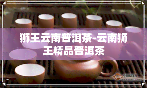 狮王云南普洱茶-云南狮王精品普洱茶