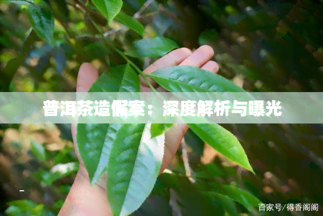 普洱茶造假案：深度解析与曝光