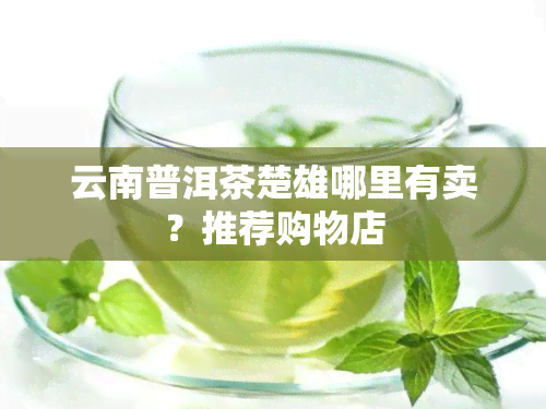 云南普洱茶楚雄哪里有卖？推荐购物店