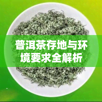 普洱茶存地与环境要求全解析