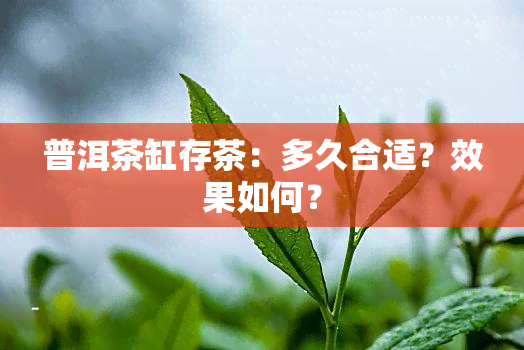 普洱茶缸存茶：多久合适？效果如何？