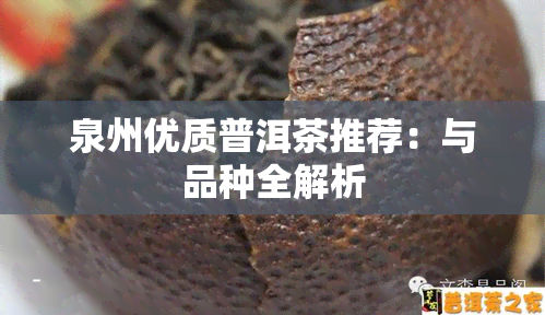 泉州优质普洱茶推荐：与品种全解析