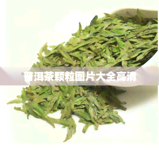 普洱茶颗粒图片大全高清