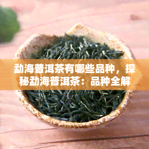 勐海普洱茶有哪些品种，探秘勐海普洱茶：品种全解析