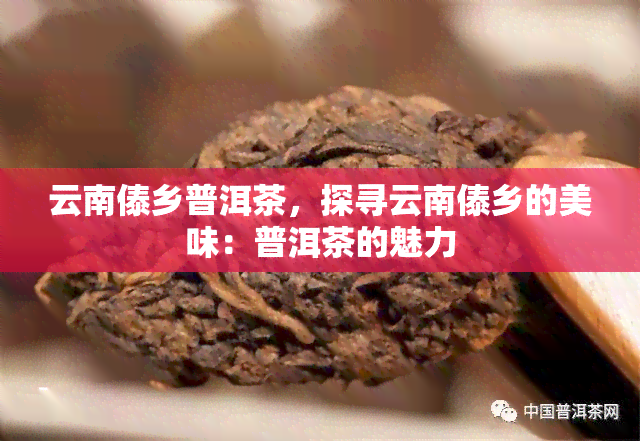 云南傣乡普洱茶，探寻云南傣乡的美味：普洱茶的魅力