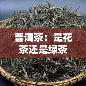 普洱茶：是花茶还是绿茶？