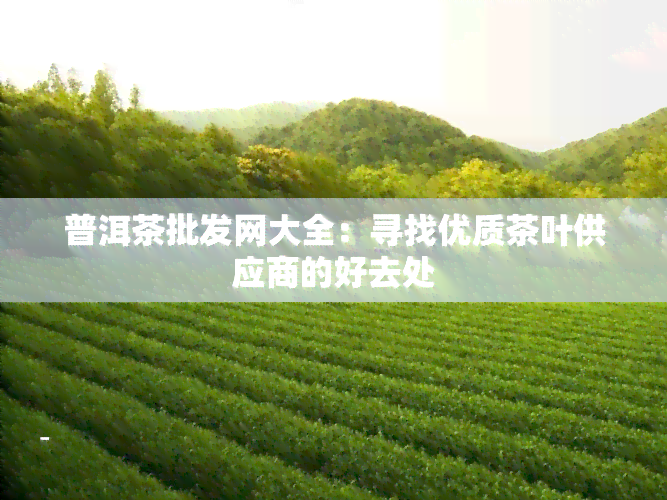 普洱茶批发网大全：寻找优质茶叶供应商的好去处