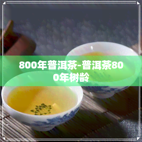 800年普洱茶-普洱茶800年树龄