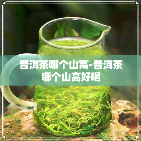 普洱茶哪个山高-普洱茶哪个山高好喝