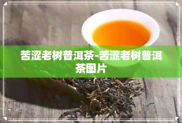 苦涩老树普洱茶-苦涩老树普洱茶图片