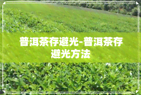 普洱茶存避光-普洱茶存避光方法