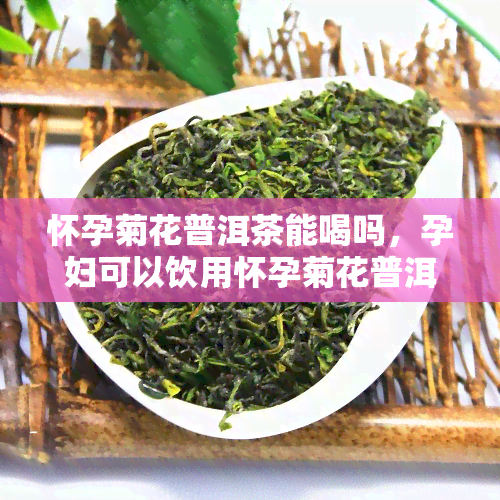 怀孕菊花普洱茶能喝吗，孕妇可以饮用怀孕菊花普洱茶吗？