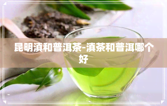 昆明滇和普洱茶-滇茶和普洱哪个好