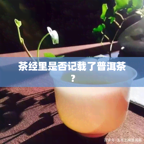 茶经里是否记载了普洱茶？