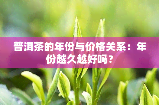 普洱茶的年份与价格关系：年份越久越好吗？