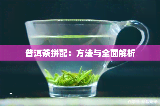 普洱茶拼配：方法与全面解析